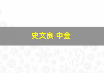 史文良 中金